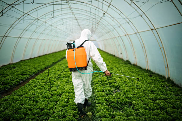 Best Affordable Pest Control Services  in Athens, PA