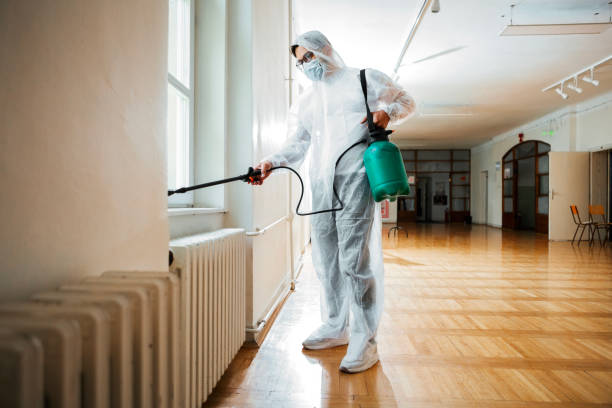 Best Termite Control Services  in Athens, PA